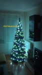 osvetlený vianočný stromček