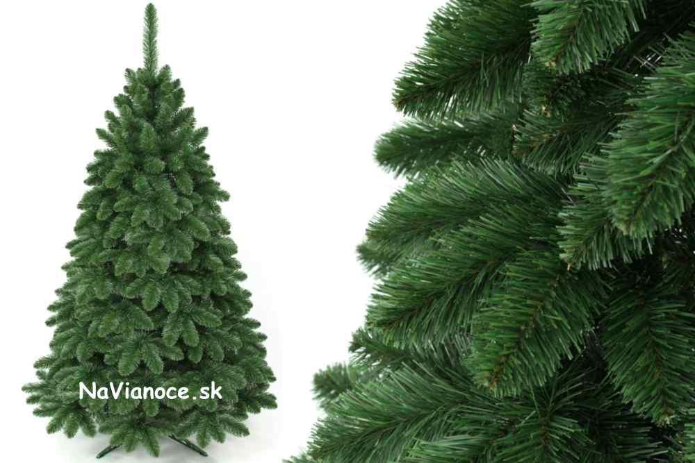 hustý borovicový vianočný stromček